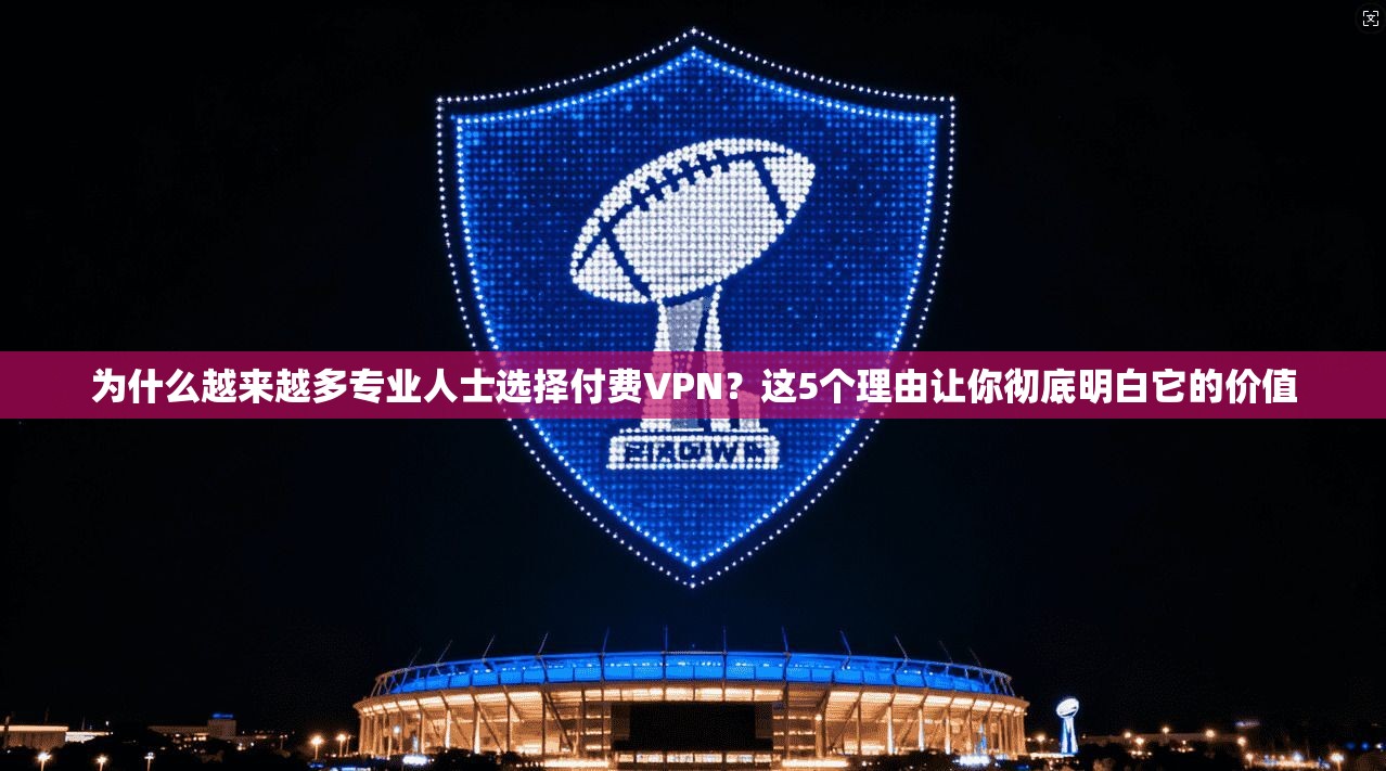 为什么越来越多专业人士选择付费VPN？这5个理由让你彻底明白它的价值