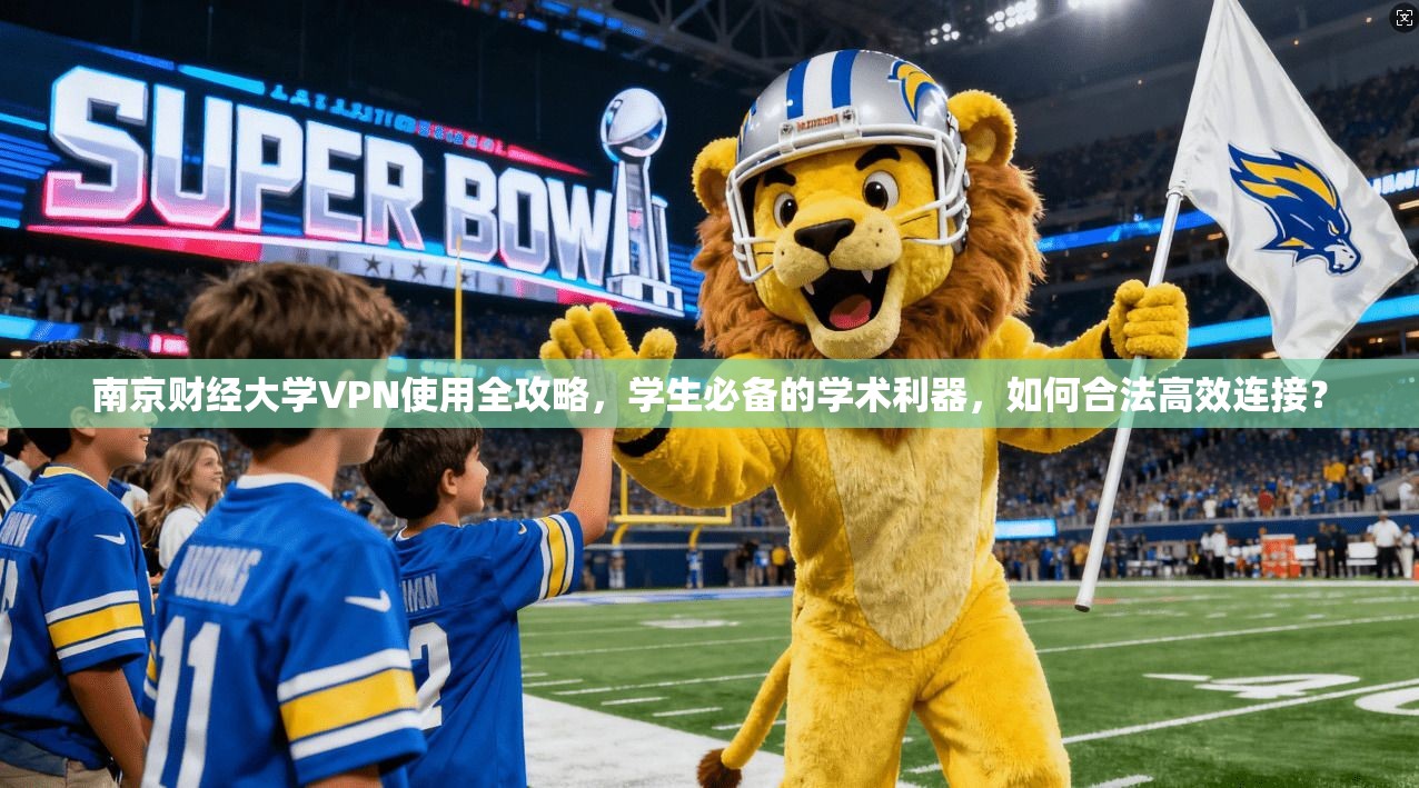 南京财经大学VPN使用全攻略，学生必备的学术利器，如何合法高效连接？