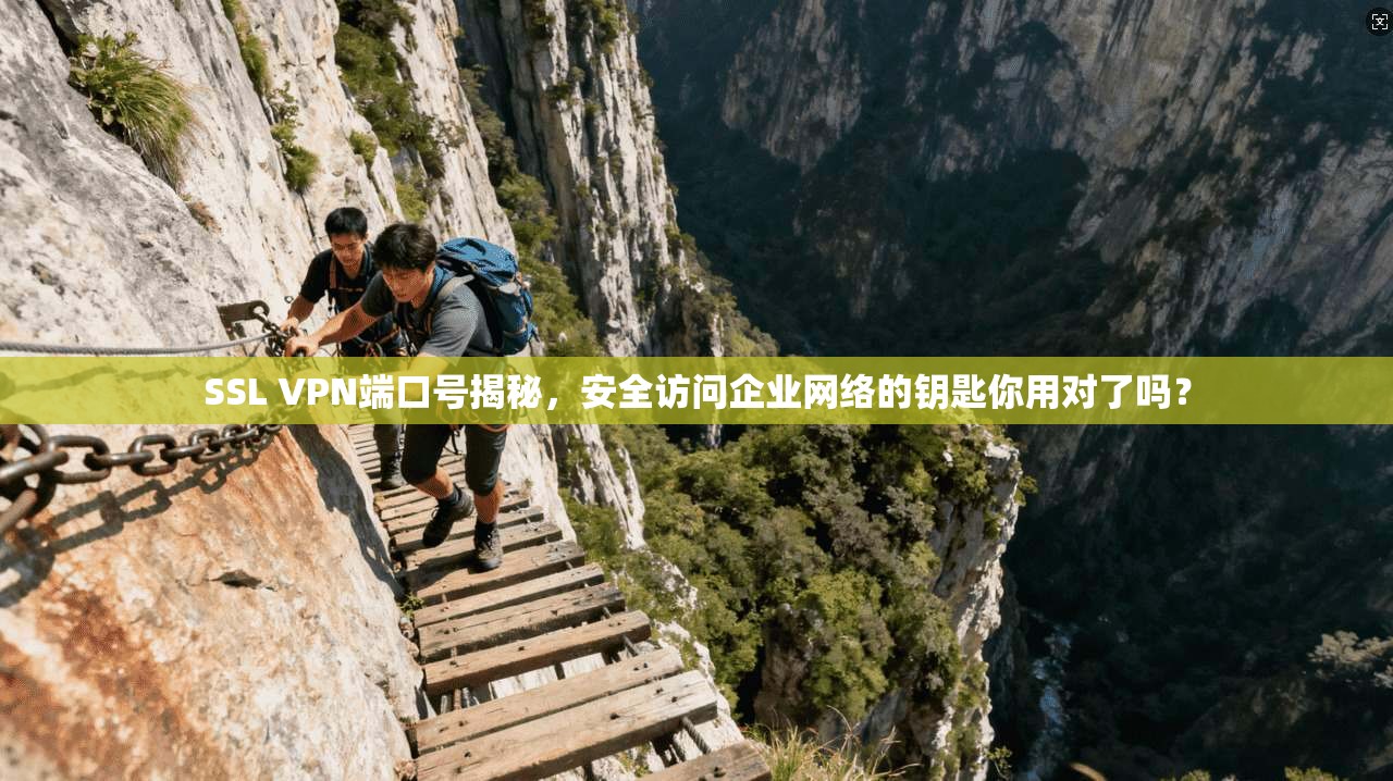 SSL VPN端口号揭秘，安全访问企业网络的钥匙你用对了吗？