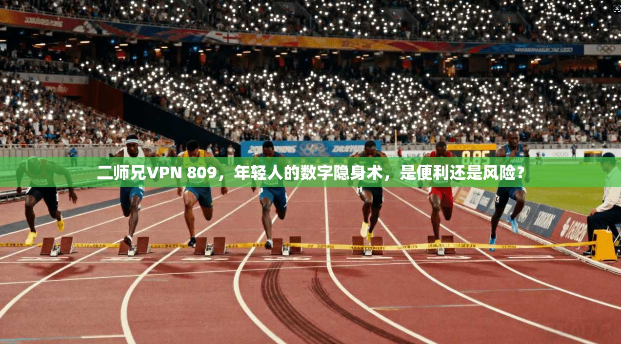二师兄VPN 809,年轻人的数字隐身术,是便利还是风险?