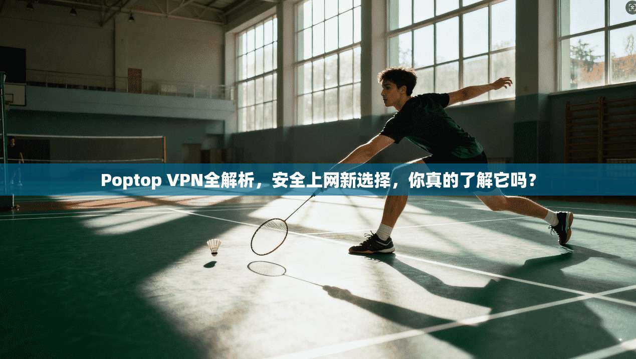 Poptop VPN全解析，安全上网新选择，你真的了解它吗？