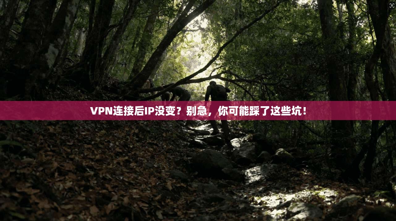 VPN连接后IP没变?别急,你可能踩了这些坑! VPN连接后IP没变?别急,你可能踩了这些坑!