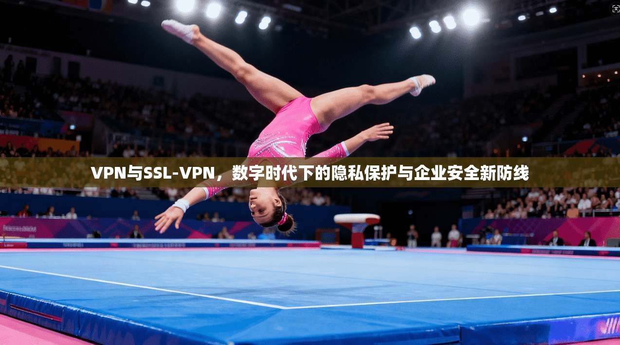 VPN与SSL-VPN,数字时代下的隐私保护与企业安全新防线 VPN与SSL-VPN,数字时代下的隐私保护与企业安全新防线