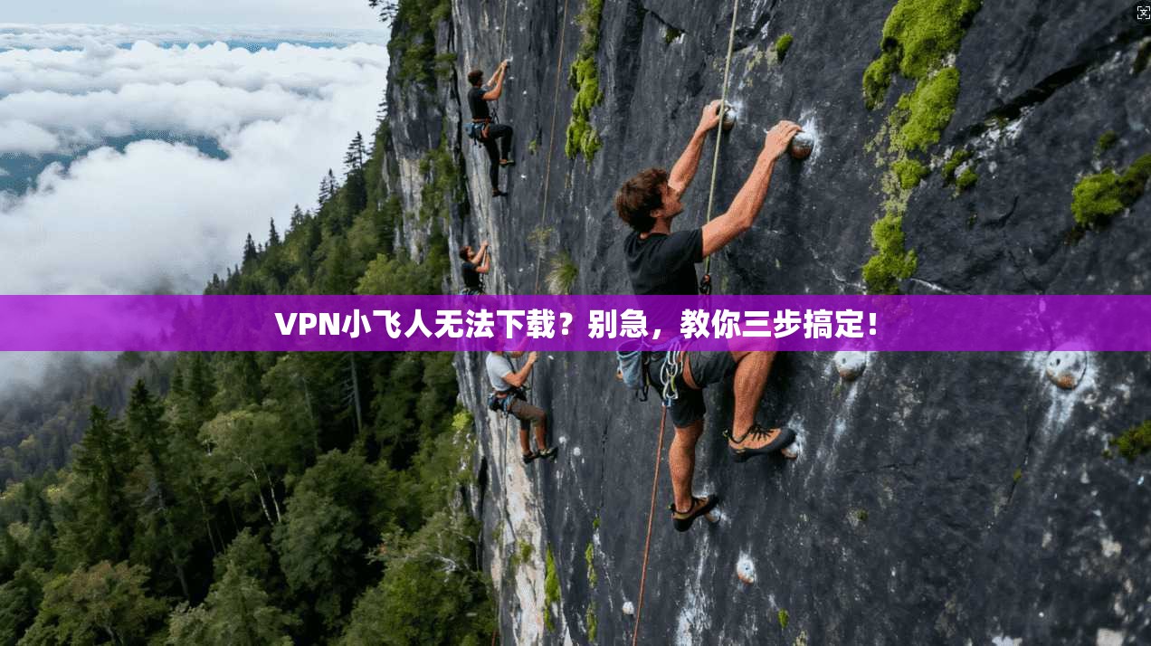 VPN小飞人无法下载?别急,教你三步搞定! VPN小飞人无法下载?别急,教你三步搞定!