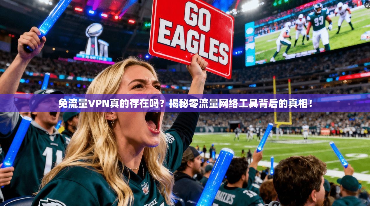 免流量VPN真的存在吗？揭秘零流量网络工具背后的真相！
