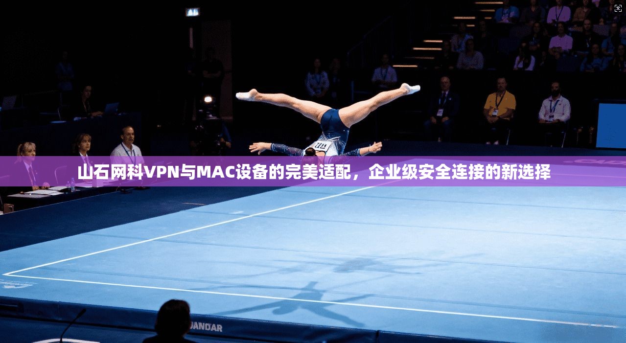 山石网科VPN与MAC设备的完美适配，企业级安全连接的新选择