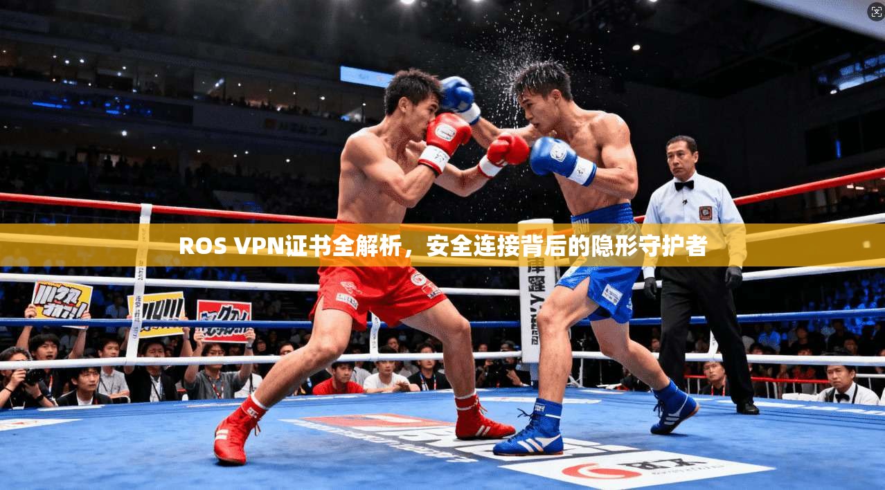 ROS VPN证书全解析，安全连接背后的隐形守护者