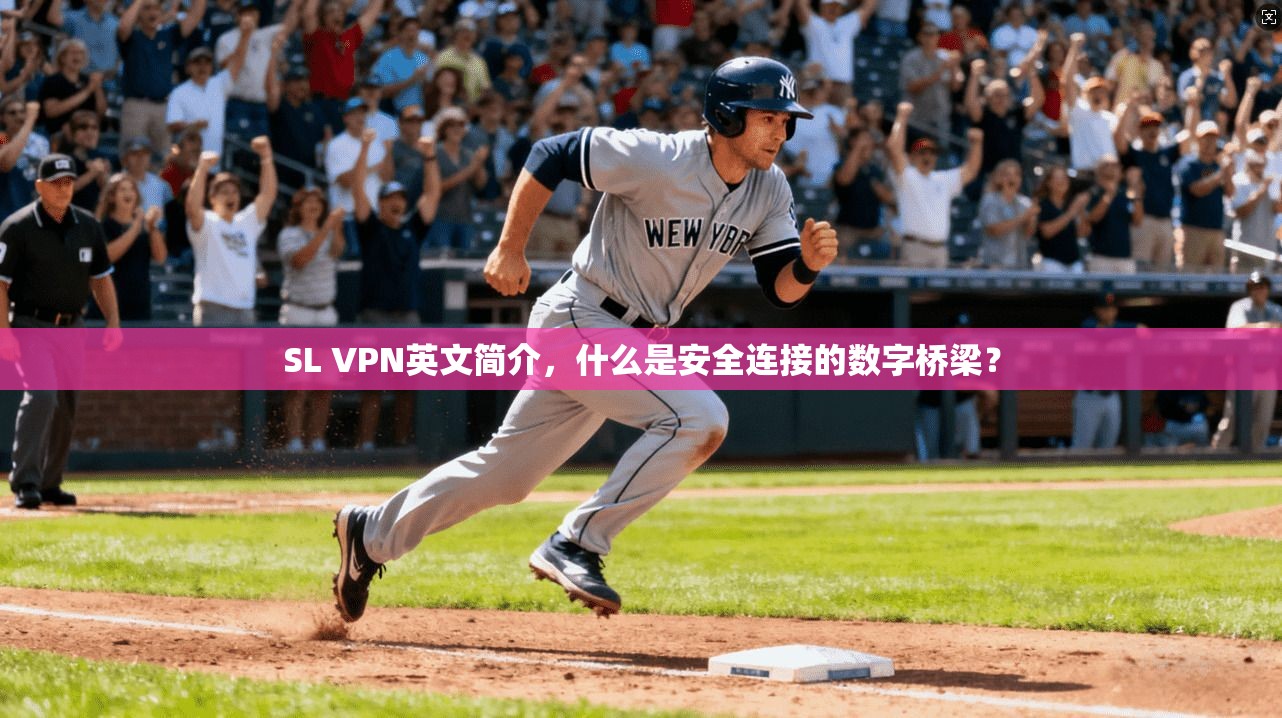 SL VPN英文简介,什么是安全连接的数字桥梁? SL VPN英文简介,什么是安全连接的数字桥梁?