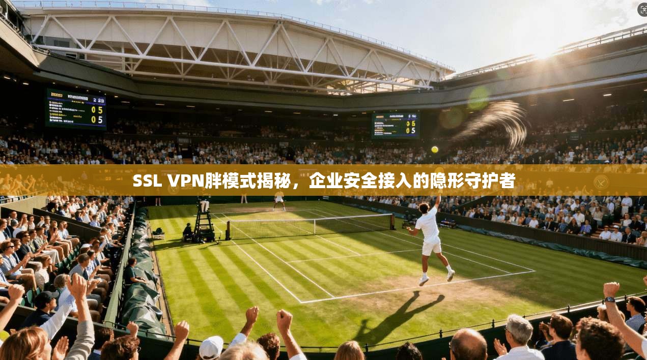 SSL VPN胖模式揭秘,企业安全接入的隐形守护者 SSL VPN胖模式揭秘,企业安全接入的隐形守护者
