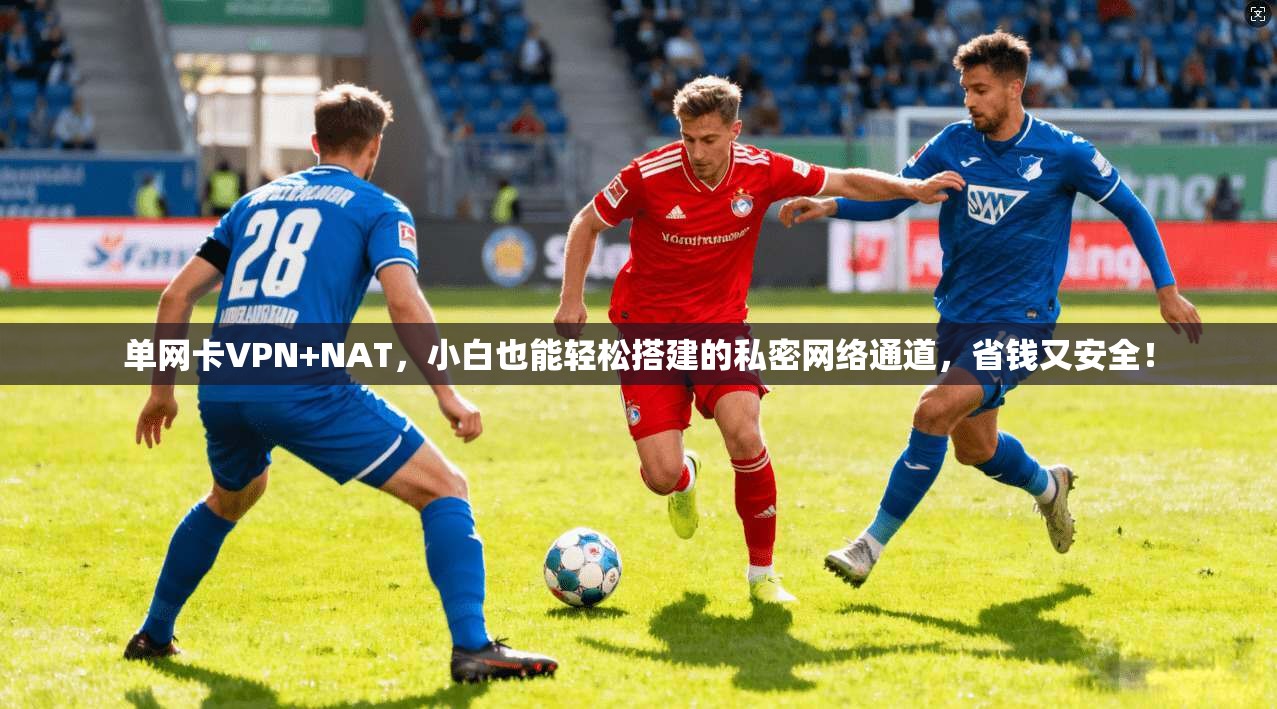 单网卡VPN+NAT，小白也能轻松搭建的私密网络通道，省钱又安全！