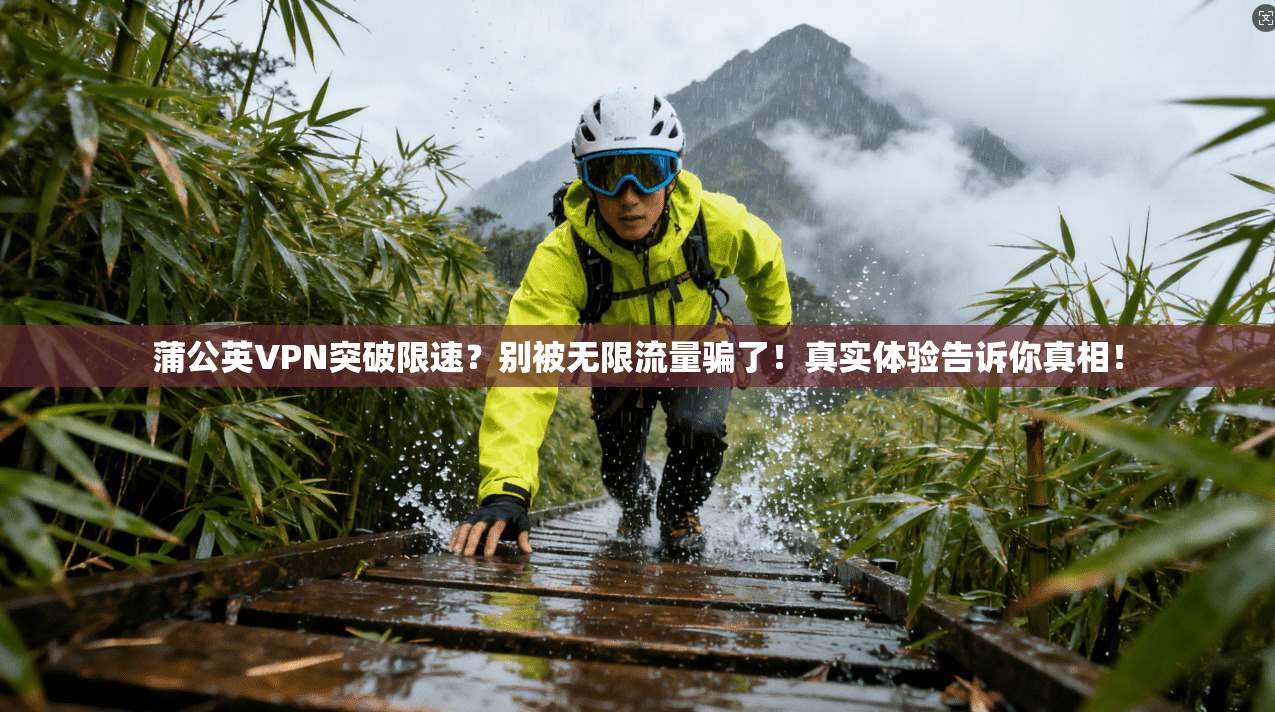 蒲公英VPN突破限速？别被无限流量骗了！真实体验告诉你真相！