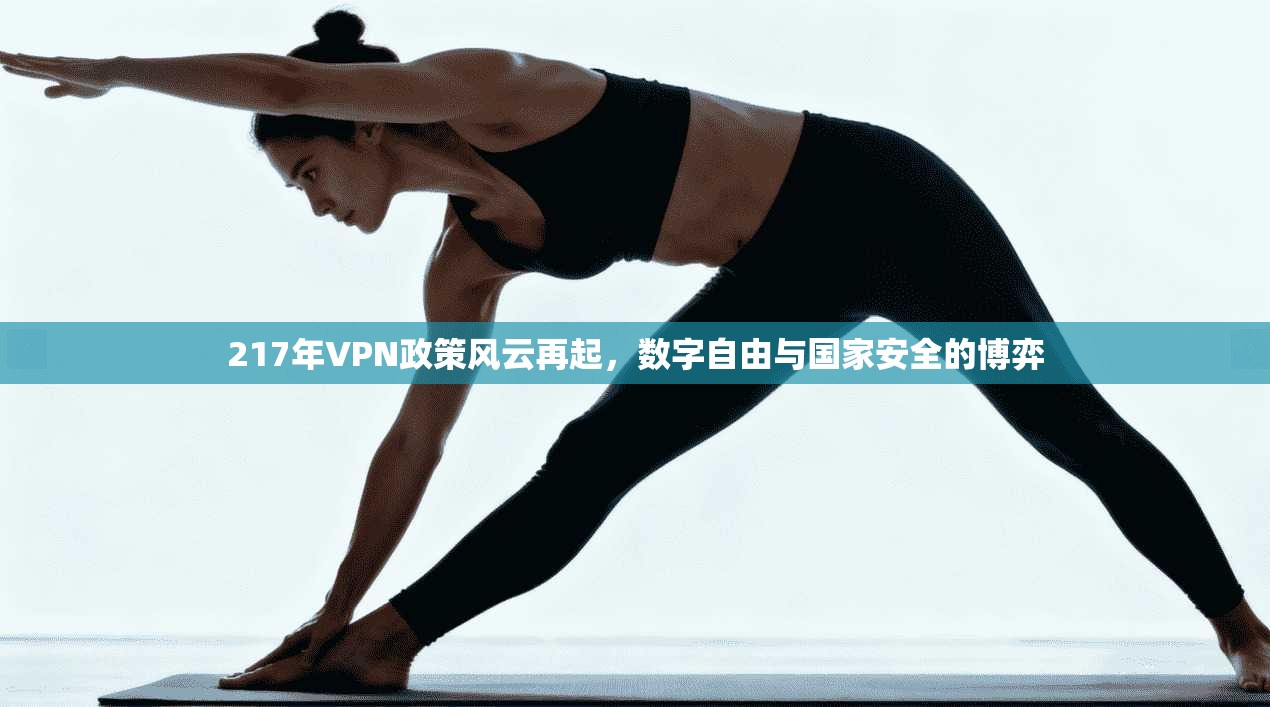 217年VPN政策风云再起,数字自由与国家安全的博弈