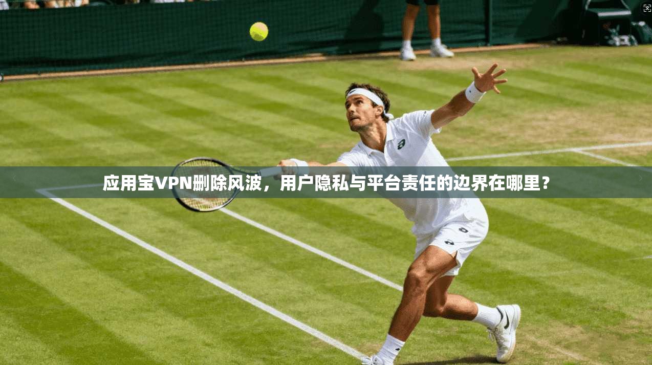 应用宝VPN删除风波，用户隐私与平台责任的边界在哪里？