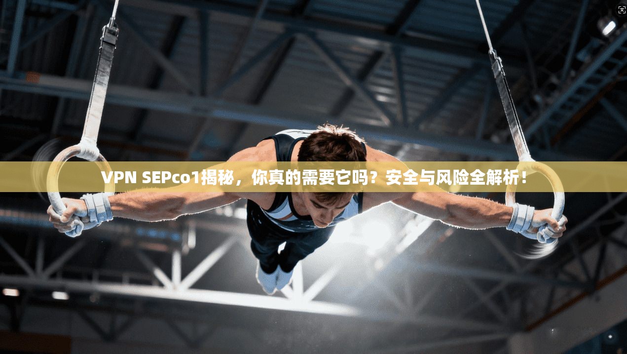 VPN SEPco1揭秘，你真的需要它吗？安全与风险全解析！