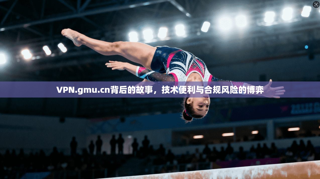 VPN.gmu.cn背后的故事,技术便利与合规风险的博弈