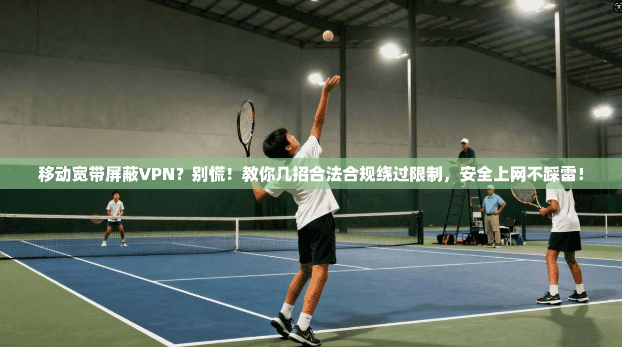 移动宽带屏蔽VPN？别慌！教你几招合法合规绕过限制，安全上网不踩雷！