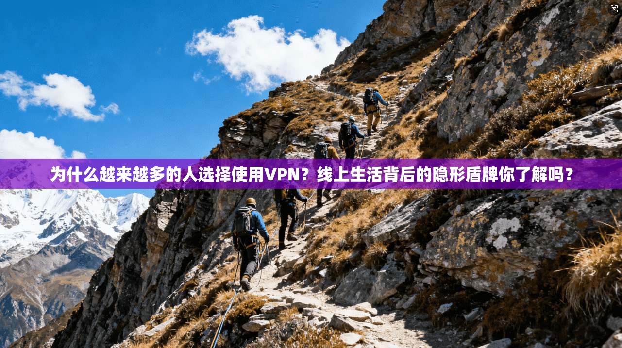 为什么越来越多的人选择使用VPN?线上生活背后的隐形盾牌你了解吗?