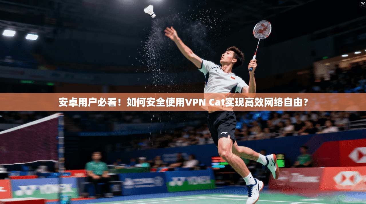 安卓用户必看！如何安全使用VPN Cat实现高效网络自由？