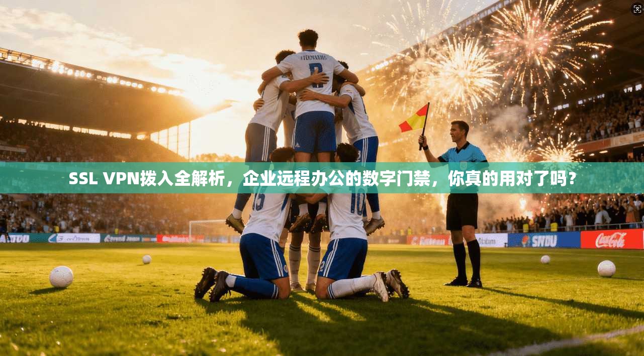 SSL VPN拨入全解析，企业远程办公的数字门禁，你真的用对了吗？