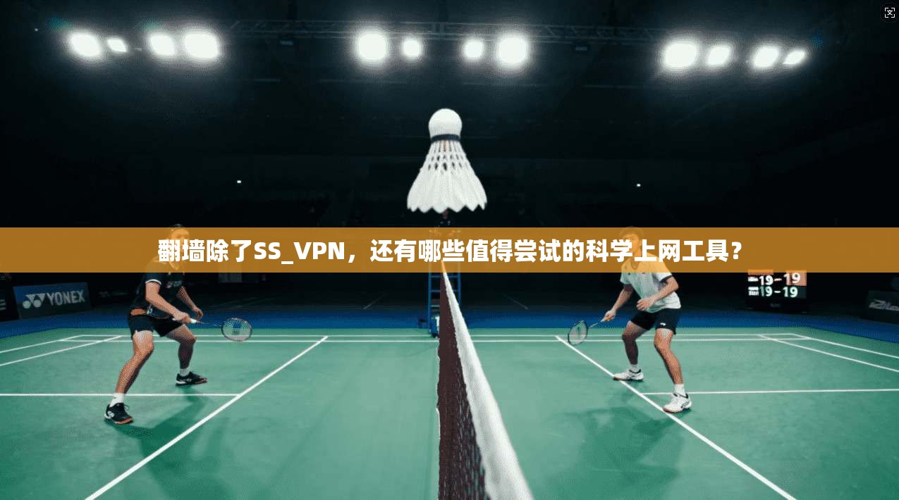 翻墙除了SS_VPN，还有哪些值得尝试的科学上网工具？
