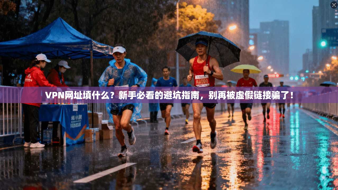 VPN网址填什么？新手必看的避坑指南，别再被虚假链接骗了！