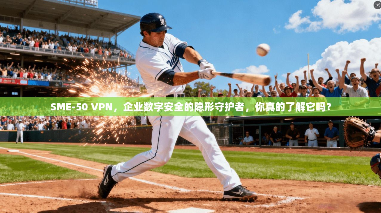 SME-50 VPN，企业数字安全的隐形守护者，你真的了解它吗？