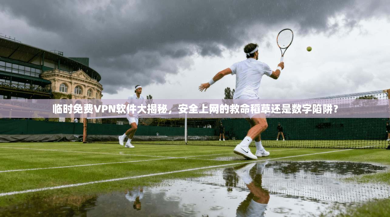 临时免费VPN软件大揭秘,安全上网的救命稻草还是数字陷阱?