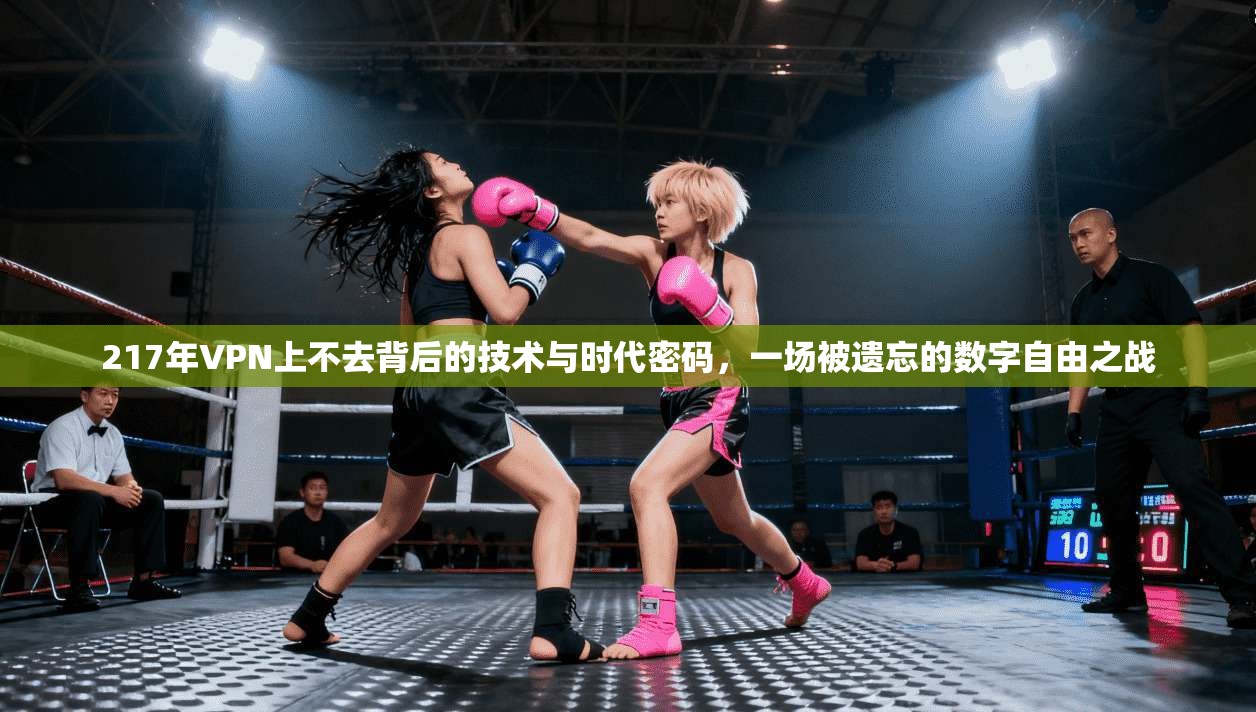 217年VPN上不去背后的技术与时代密码，一场被遗忘的数字自由之战