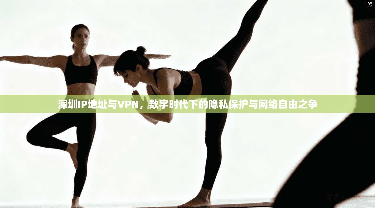 深圳IP地址与VPN，数字时代下的隐私保护与网络自由之争