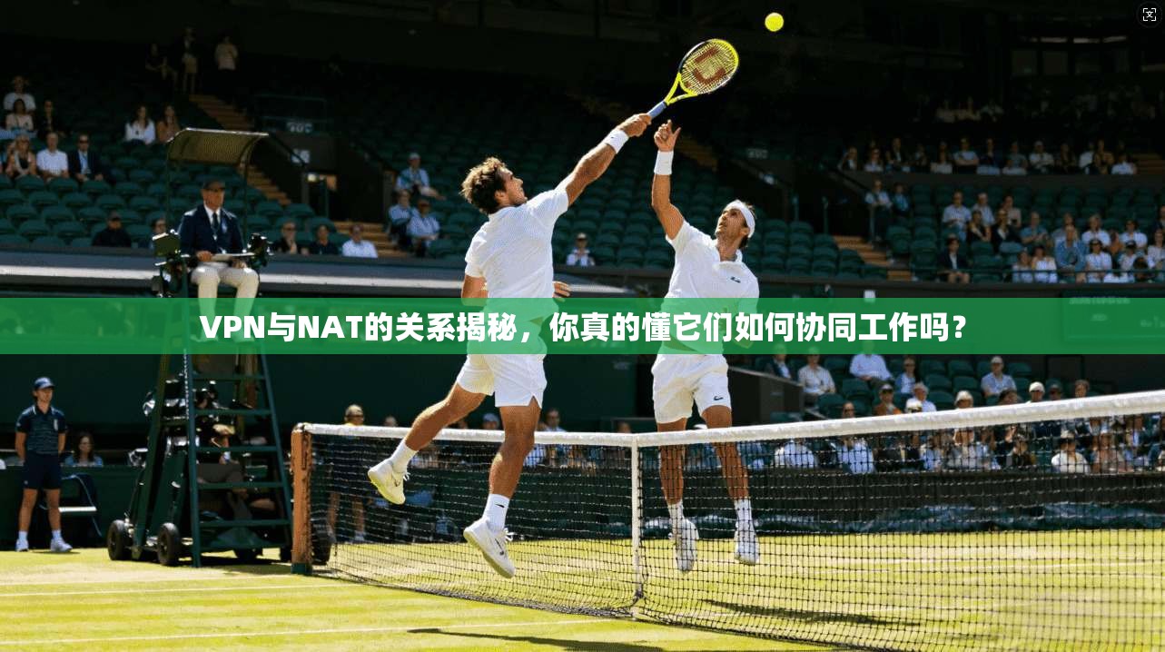 VPN与NAT的关系揭秘，你真的懂它们如何协同工作吗？