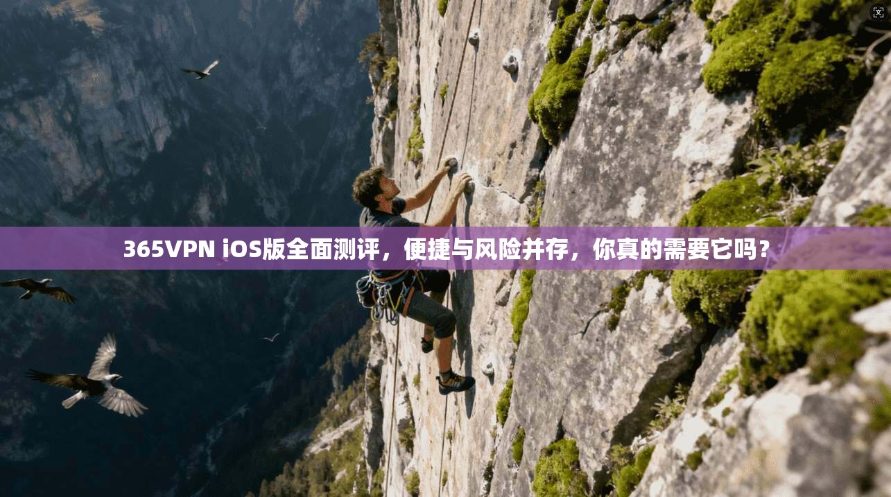 365VPN iOS版全面测评，便捷与风险并存，你真的需要它吗？