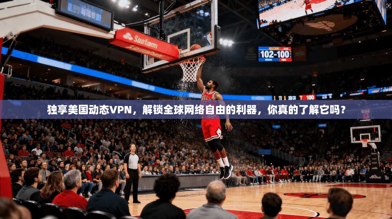 独享美国动态VPN，解锁全球网络自由的利器，你真的了解它吗？