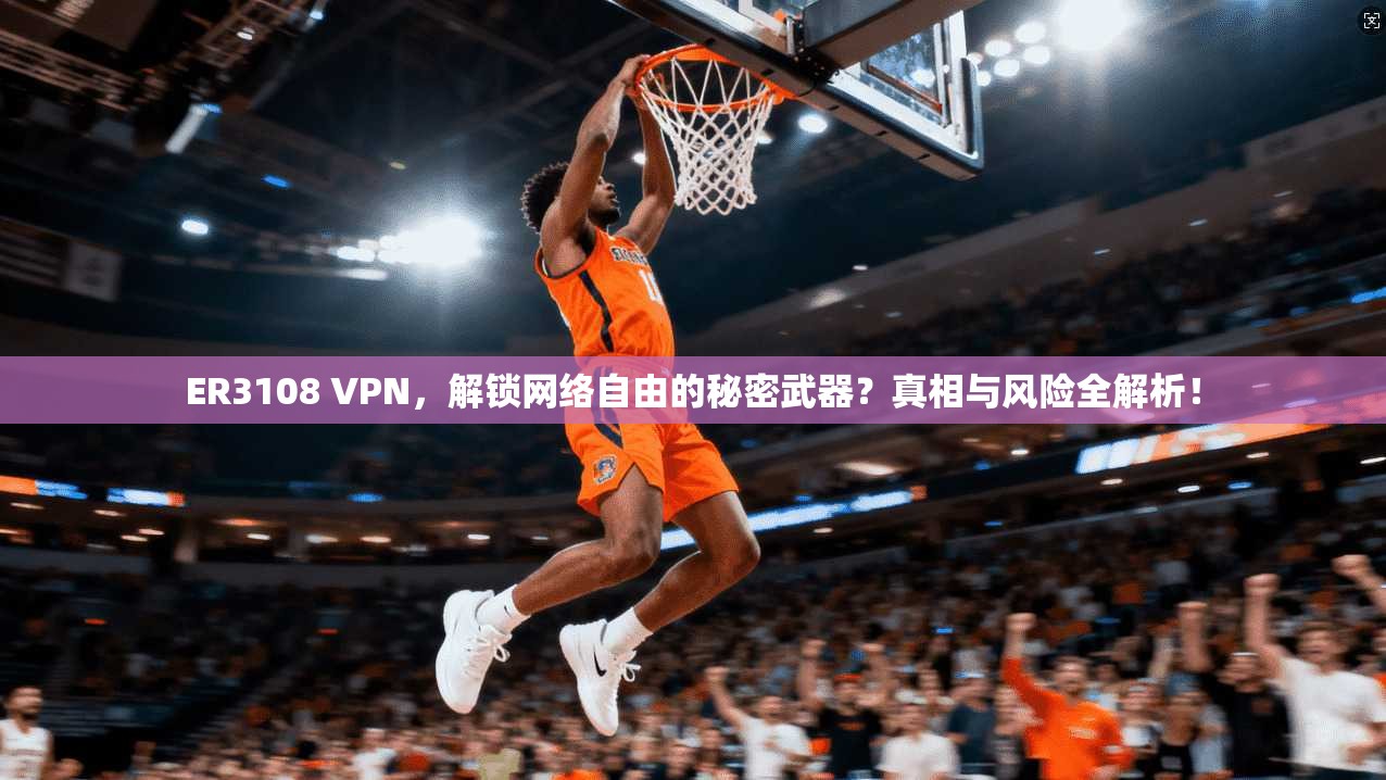 ER3108 VPN,解锁网络自由的秘密武器?真相与风险全解析!