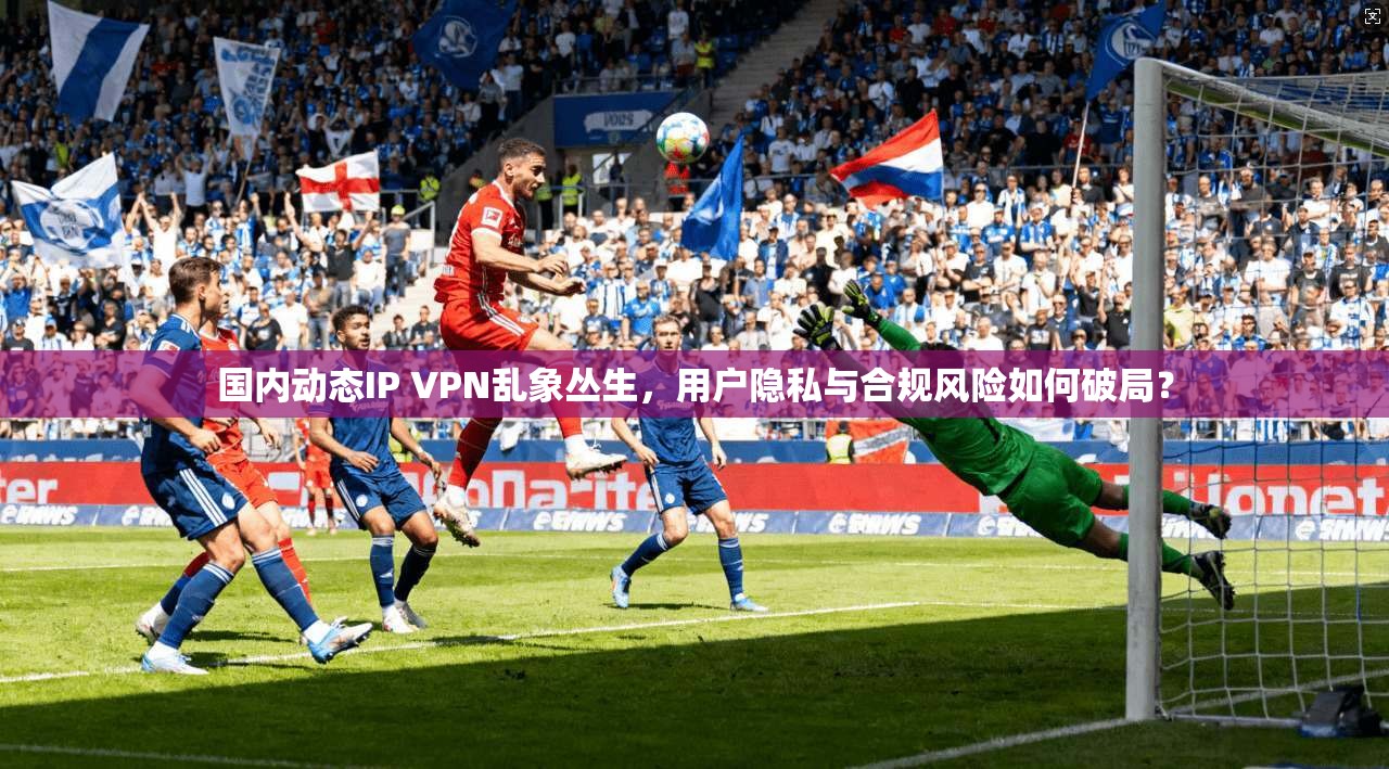 国内动态IP VPN乱象丛生，用户隐私与合规风险如何破局？