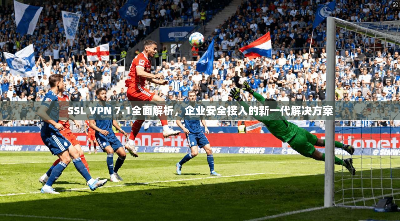 SSL VPN 7.1全面解析，企业安全接入的新一代解决方案