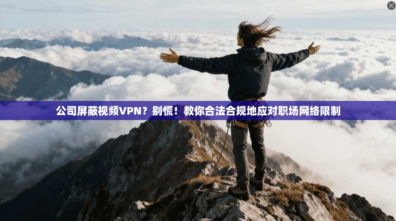 公司屏蔽视频VPN？别慌！教你合法合规地应对职场网络限制
