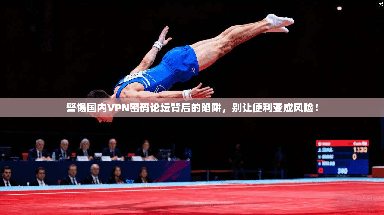 警惕国内VPN密码论坛背后的陷阱，别让便利变成风险！