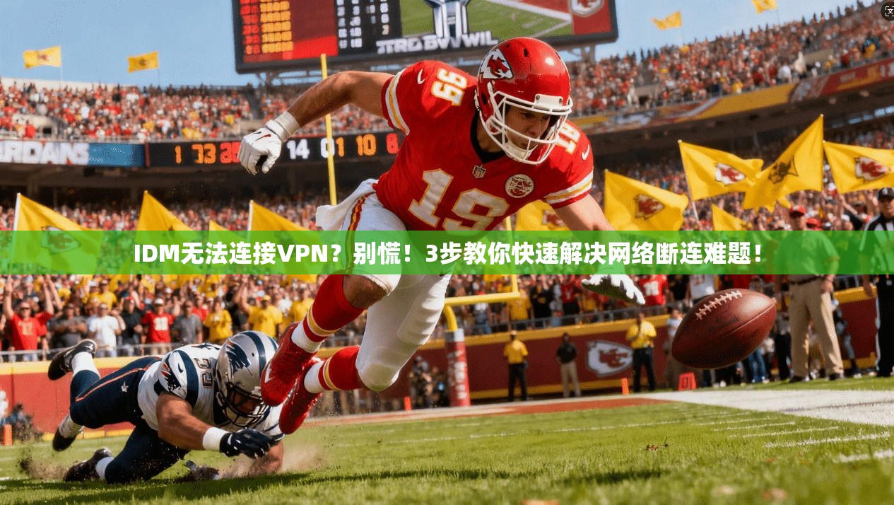 IDM无法连接VPN？别慌！3步教你快速解决网络断连难题！