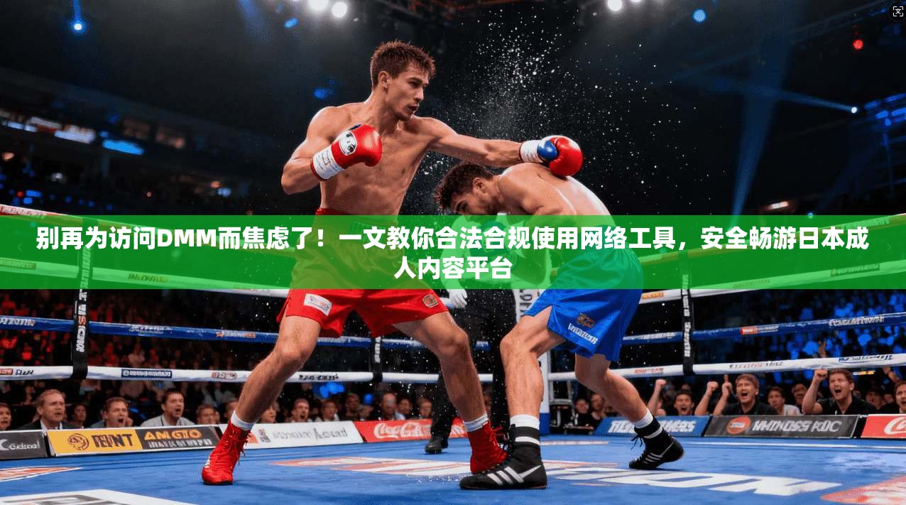 别再为访问DMM而焦虑了！一文教你合法合规使用网络工具，安全畅游日本成人内容平台