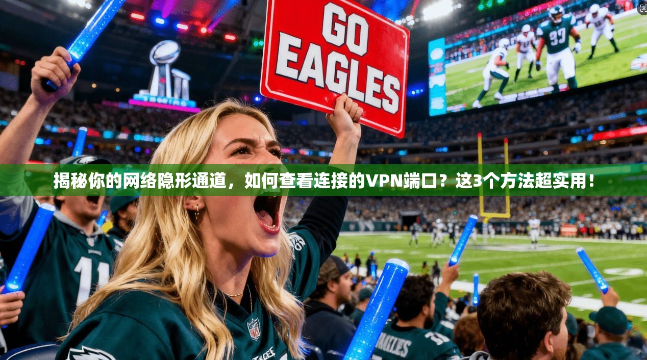 揭秘你的网络隐形通道，如何查看连接的VPN端口？这3个方法超实用！