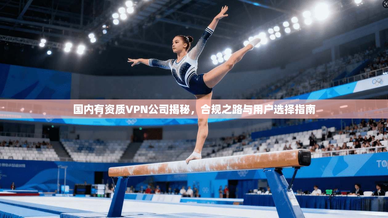 国内有资质VPN公司揭秘，合规之路与用户选择指南
