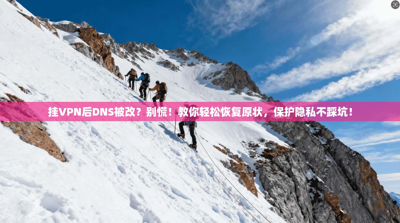 挂VPN后DNS被改？别慌！教你轻松恢复原状，保护隐私不踩坑！