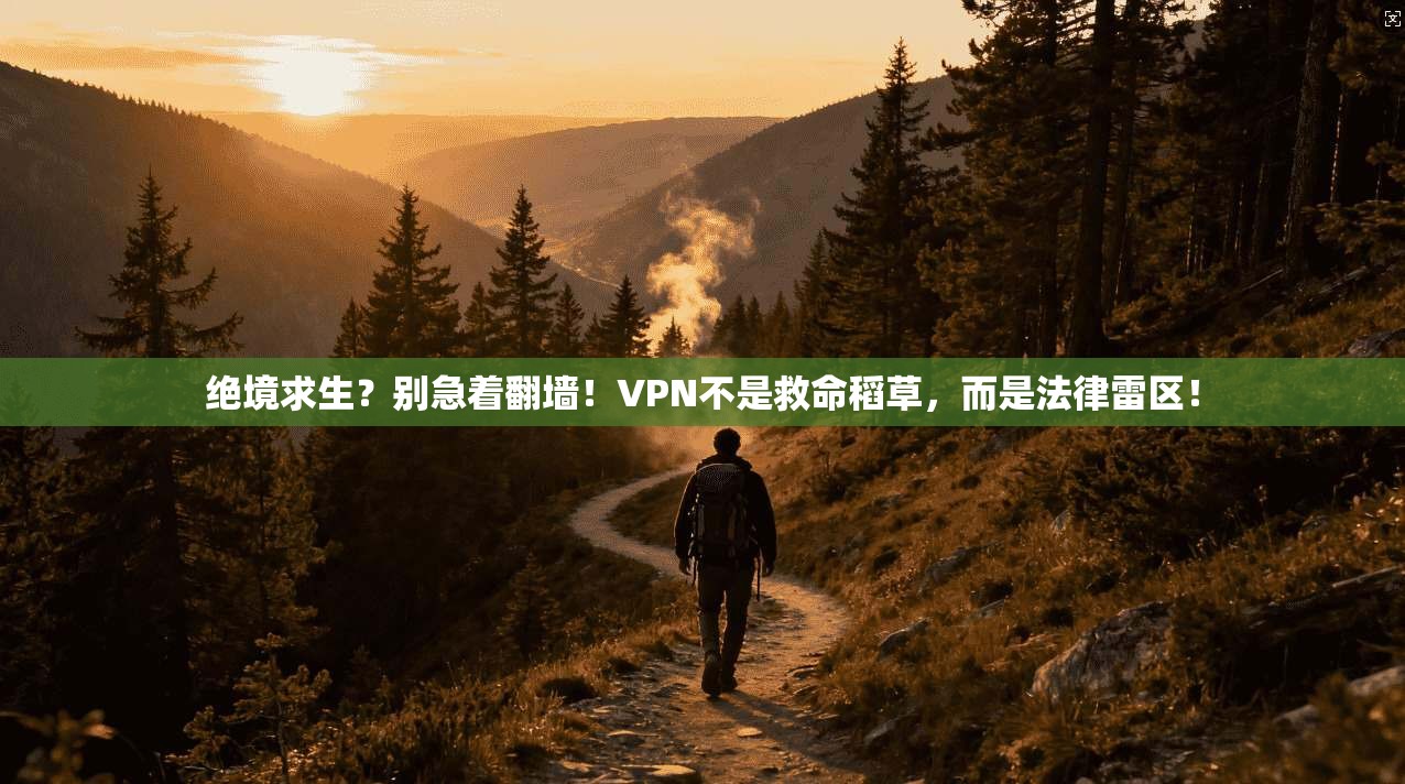 绝境求生？别急着翻墙！VPN不是救命稻草，而是法律雷区！