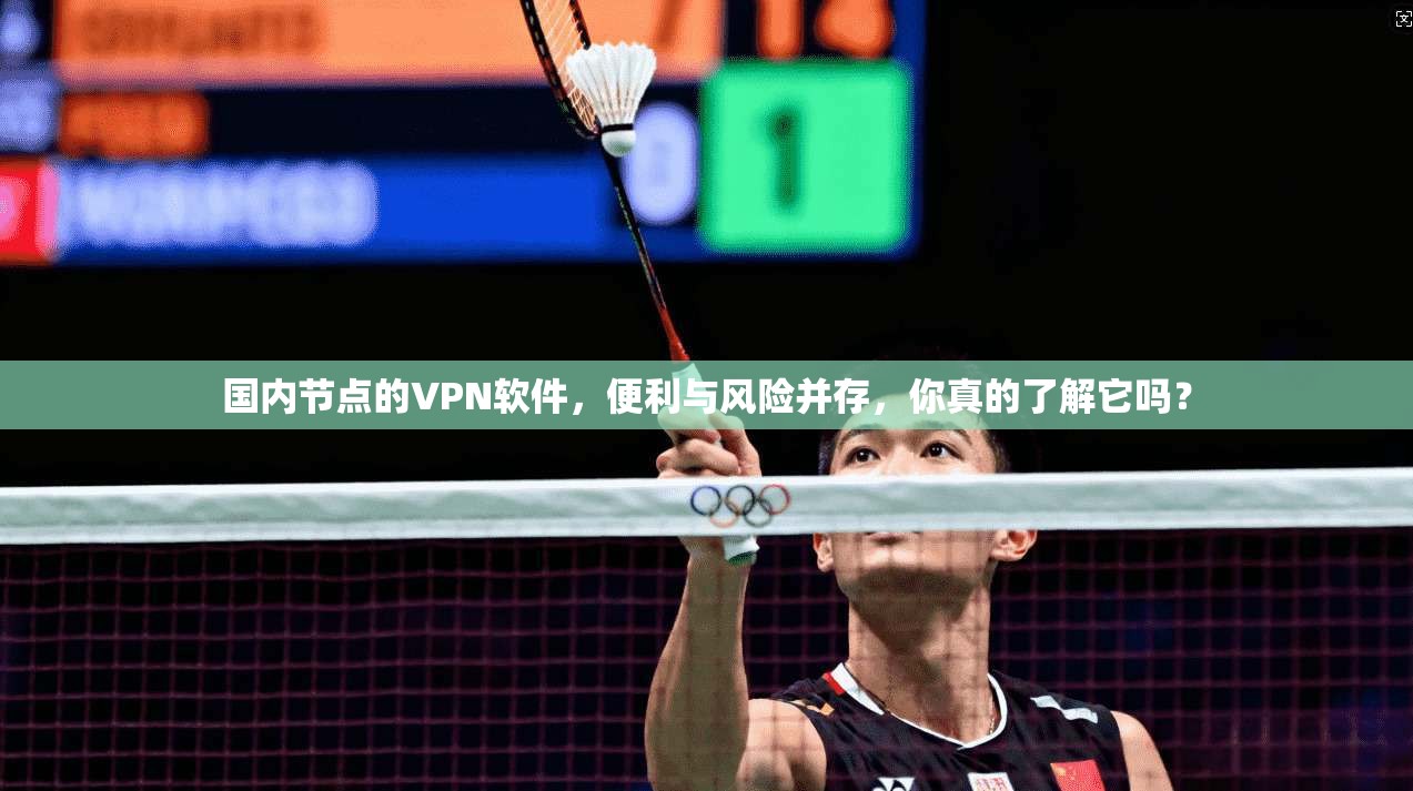 国内节点的VPN软件，便利与风险并存，你真的了解它吗？