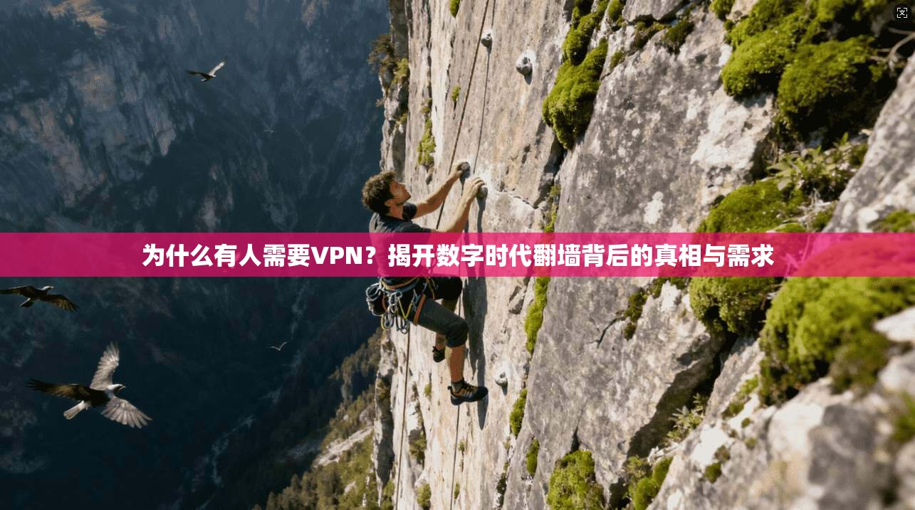 为什么有人需要VPN?揭开数字时代翻墙背后的真相与需求