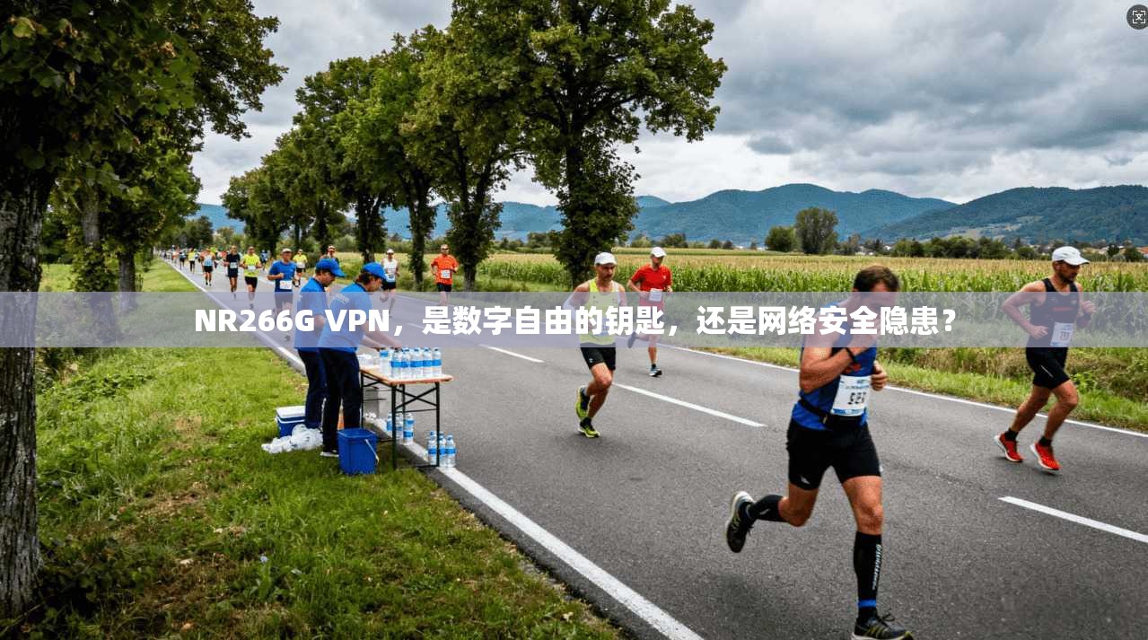 NR266G VPN，是数字自由的钥匙，还是网络安全隐患？