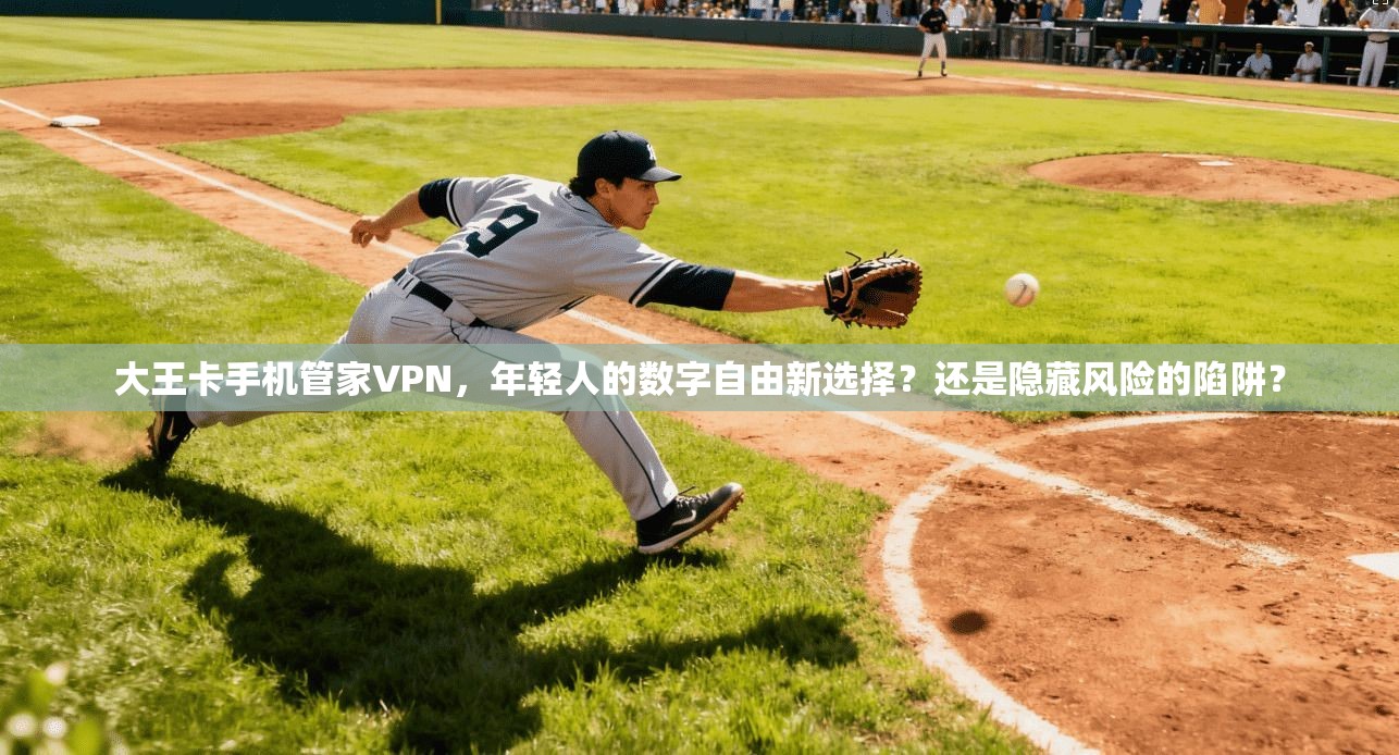 大王卡手机管家VPN，年轻人的数字自由新选择？还是隐藏风险的陷阱？