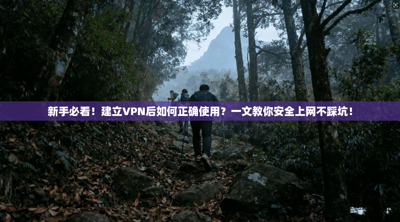 新手必看!建立VPN后如何正确使用?一文教你安全上网不踩坑!