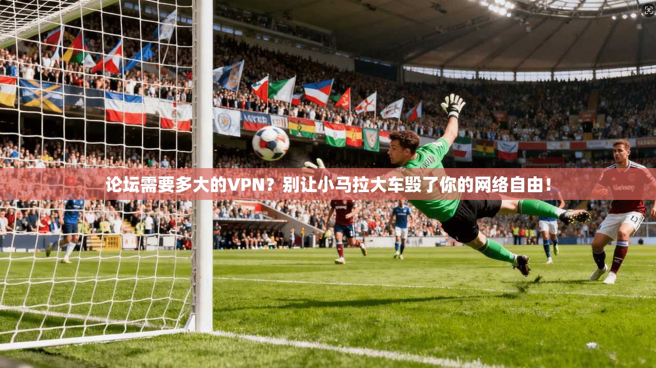 论坛需要多大的VPN？别让小马拉大车毁了你的网络自由！