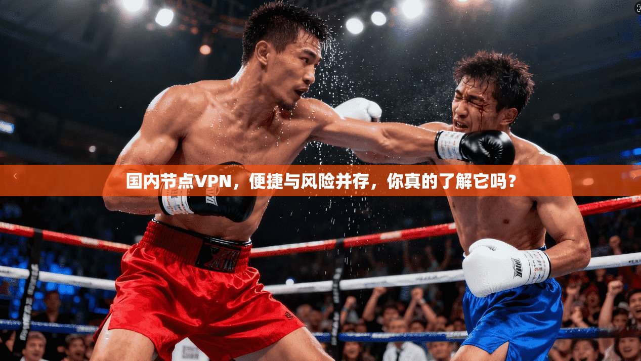 国内节点VPN，便捷与风险并存，你真的了解它吗？